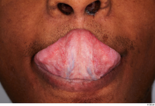 Kavan tongue 0002.jpg